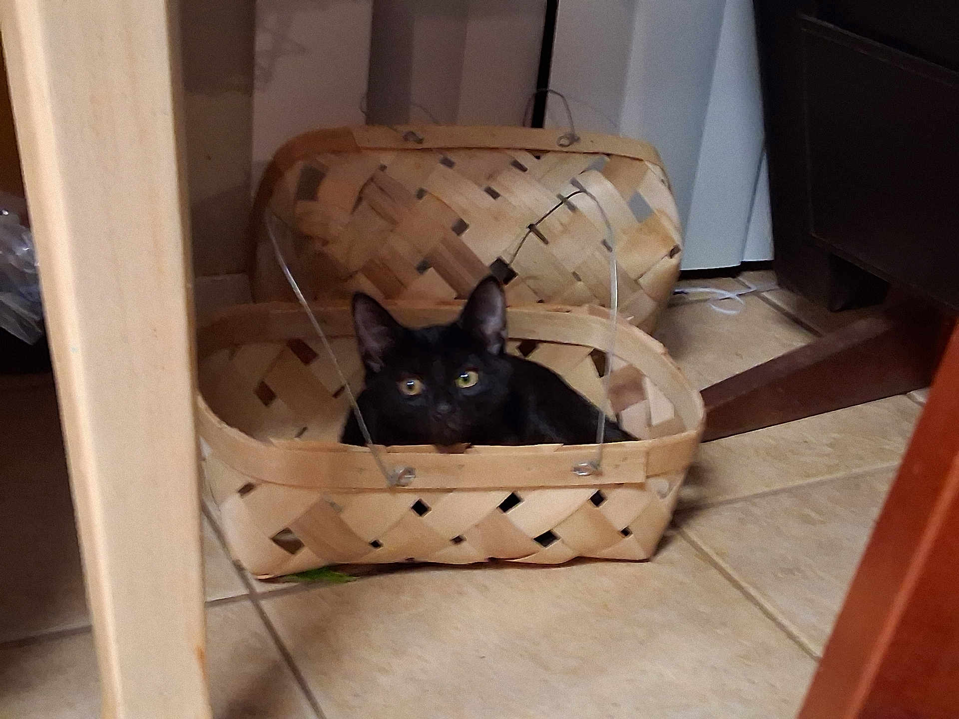Ki joined the competition — help win amazing prizes! animal, basket, black_cat, cat, corner, cozy, curious, domestic, feline, floor, furniture_leg, hidden, home, household, indoor, peeking, pet, small_space, tile_floor, woven_basket