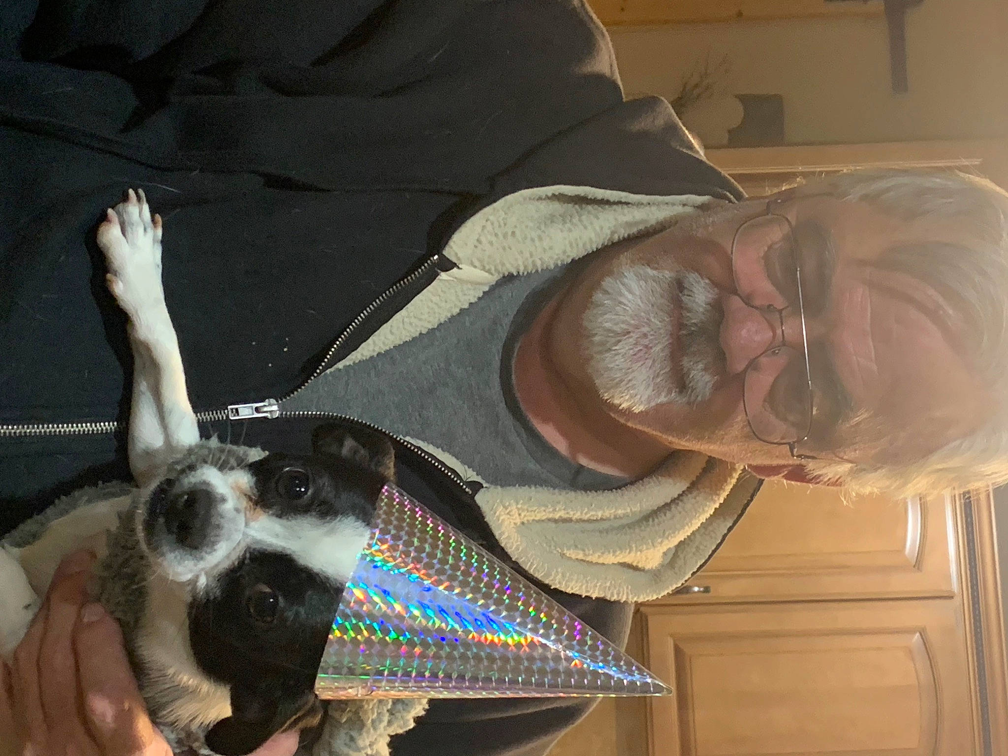 Einstein is registered to the contest to win money with this photo: audio_equipment, carnivore, collar, comfort, companion_dog, costume, dog, dog_breed, dog_collar, ear, elbow, eyewear, fashion_accessory, fur, guard_dog, jaw, personal_protective_equipment, wood, working_animal, wrist