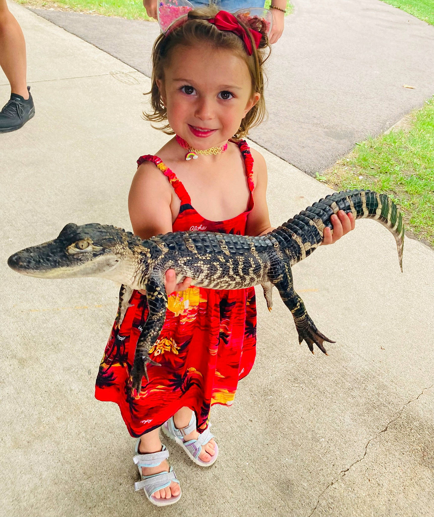 Amelia joined the competition — help win amazing prizes! child, costume, event, fashion_accessory, fun, grass, happy, human_leg, jewellery, joint, joy, pattern, person, pink, plant, shoe, sleeve, smile, terrestrial_animal, toddler