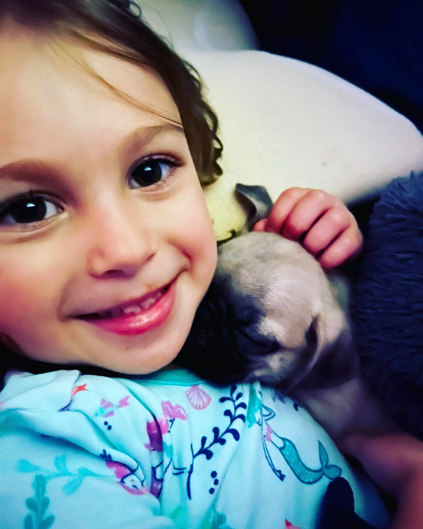 Amelia is registered to the contest to win money with this photo: carnivore, comfort, companion_dog, cool, dog, dog_breed, ear, eye, eyelash, fawn, flash_photography, happy, iris, joy, mammal, nose, person, skin, smile, toddler