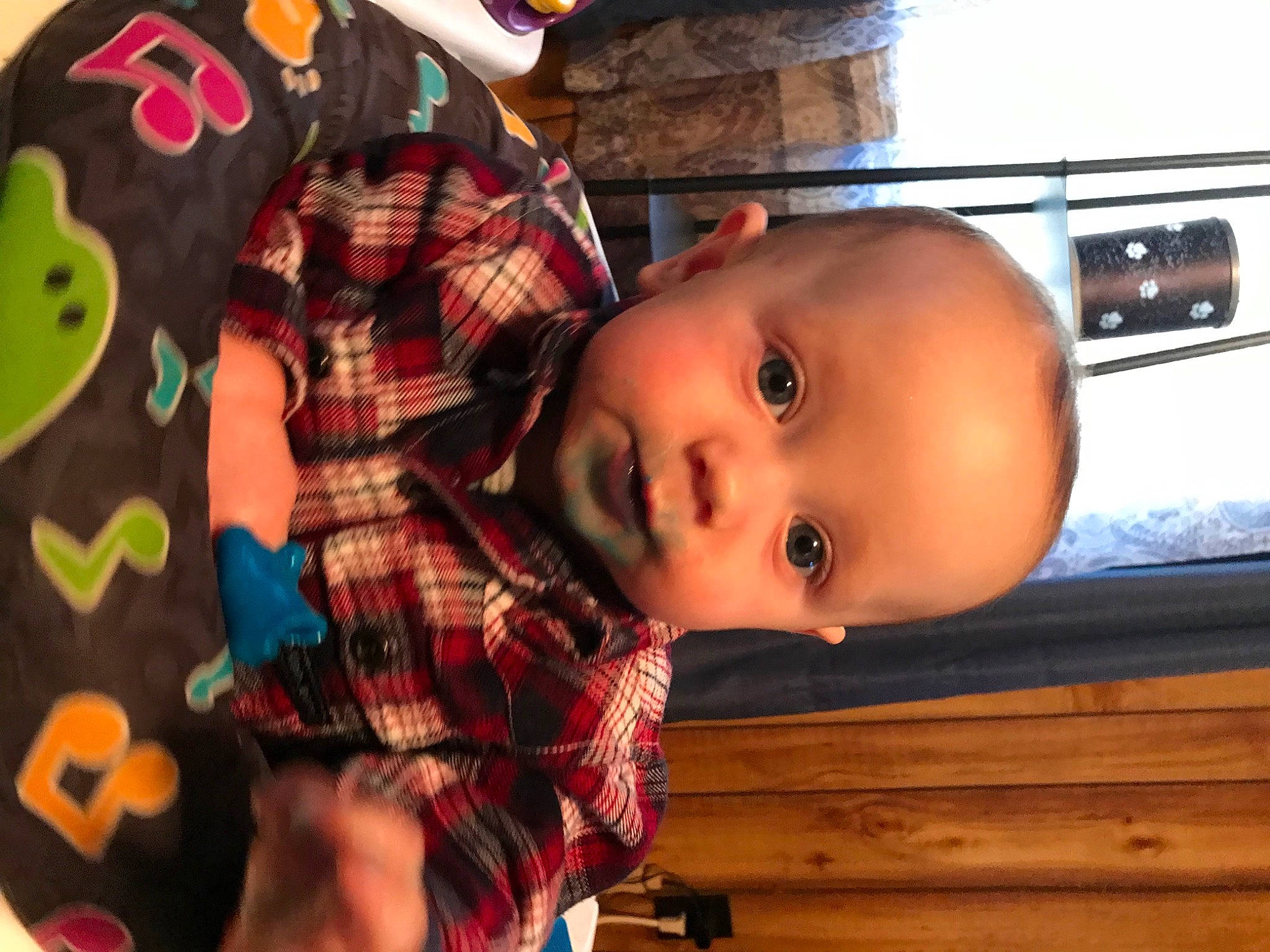 Deegan is registered to the contest to win money with this photo: baby, baby_toddler_clothing, cheek, child, facial_expression, fun, happy, mouth, nose, pattern, person, plaid, room, skin, sleeve, smile, tartan, toddler, toy, tree