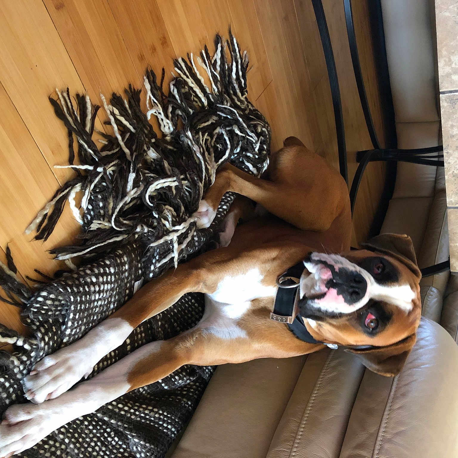 Konner is registered to the contest to win money with this photo: automotive_design, black_hair, carmine, cg_artwork, comfort, dress, eyelash, eyewear, fashion_accessory, fashion_design, foot, fur, goggles, headpiece, human_leg, personal_protective_equipment, sandal, sunglasses, thigh, wood