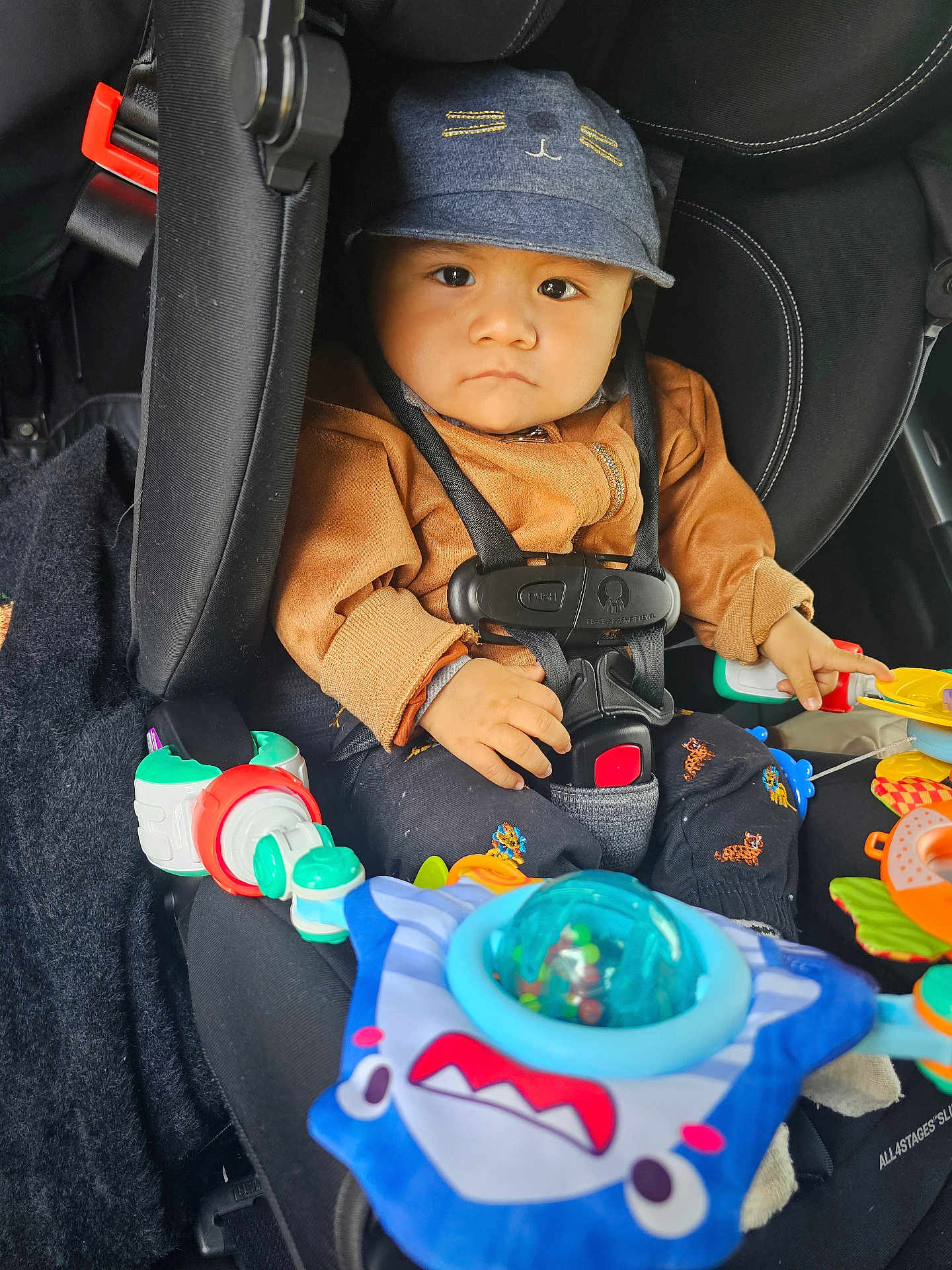 David is registered to the contest to win money with this photo: baby, infant, child, car_seat, harness, hat, cap, toy, plush_toy, colorful_toys, buckle, jacket, sitting, portrait, looking_at_camera, serious_expression, strapped_in, vehicle_interior, close_up, seat_padding