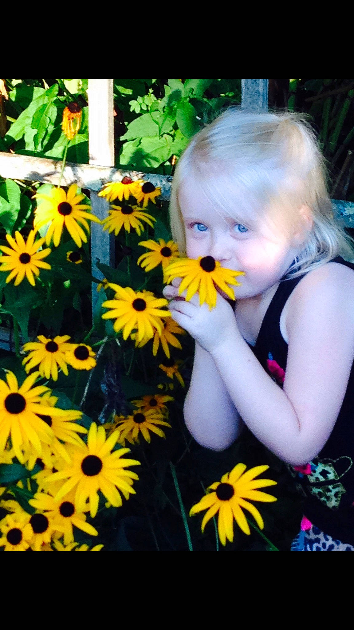 Kylee joined the competition — help win amazing prizes! adaptation, blond, eyelash, facial_expression, flash_photography, flower, flowering_plant, grass, green, happy, iris, pattern, people_in_nature, person, petal, photograph, plant, spring, sunflower, toddler