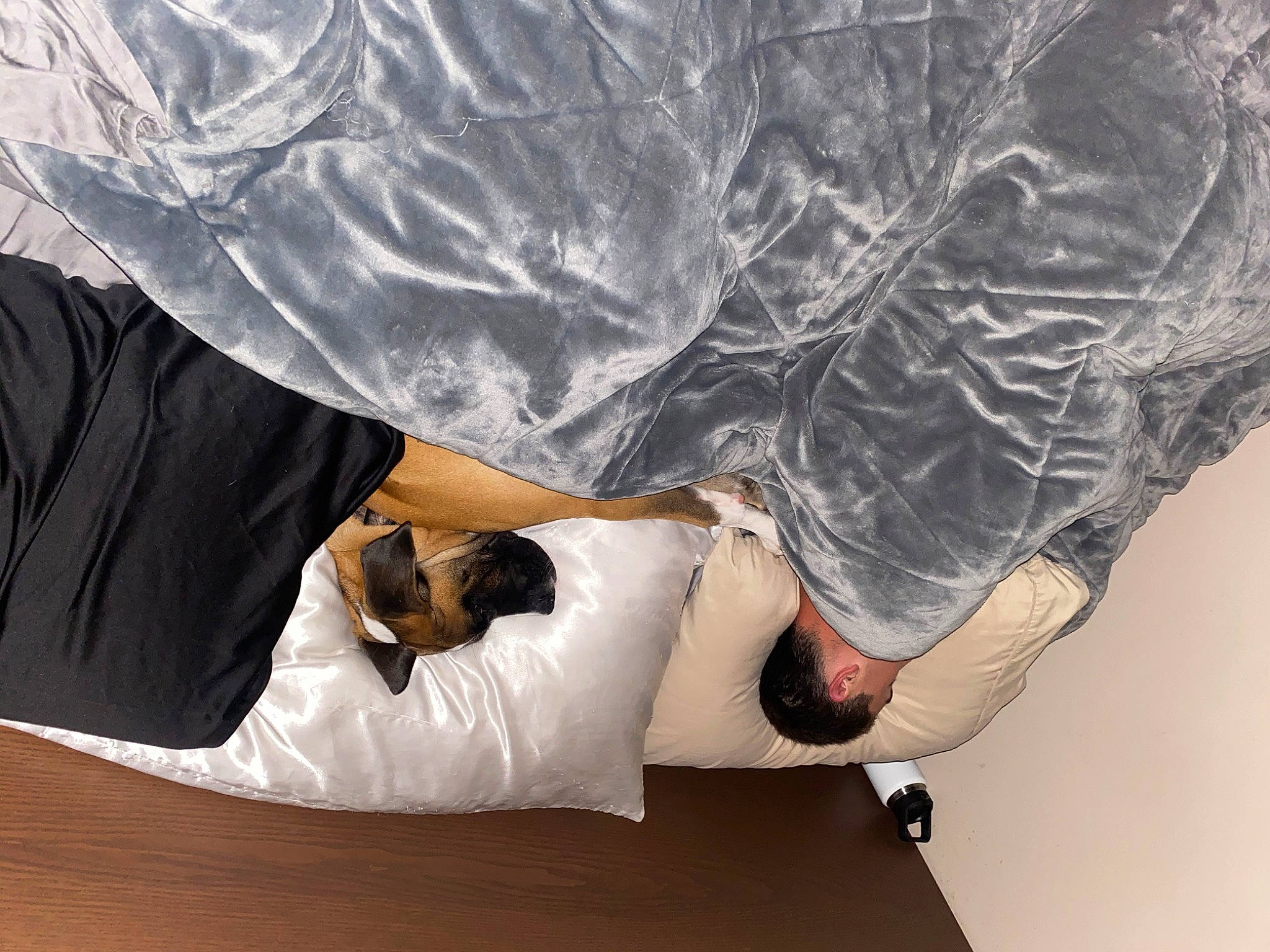 Coal is registered to the contest to win money with this photo: bridal_accessory, comfort, couch, dress, elbow, fashion_accessory, fashion_design, foot, formal_wear, gesture, human_body, human_leg, knee, leg, outerwear, sitting, sleeve, textile, thigh, tree