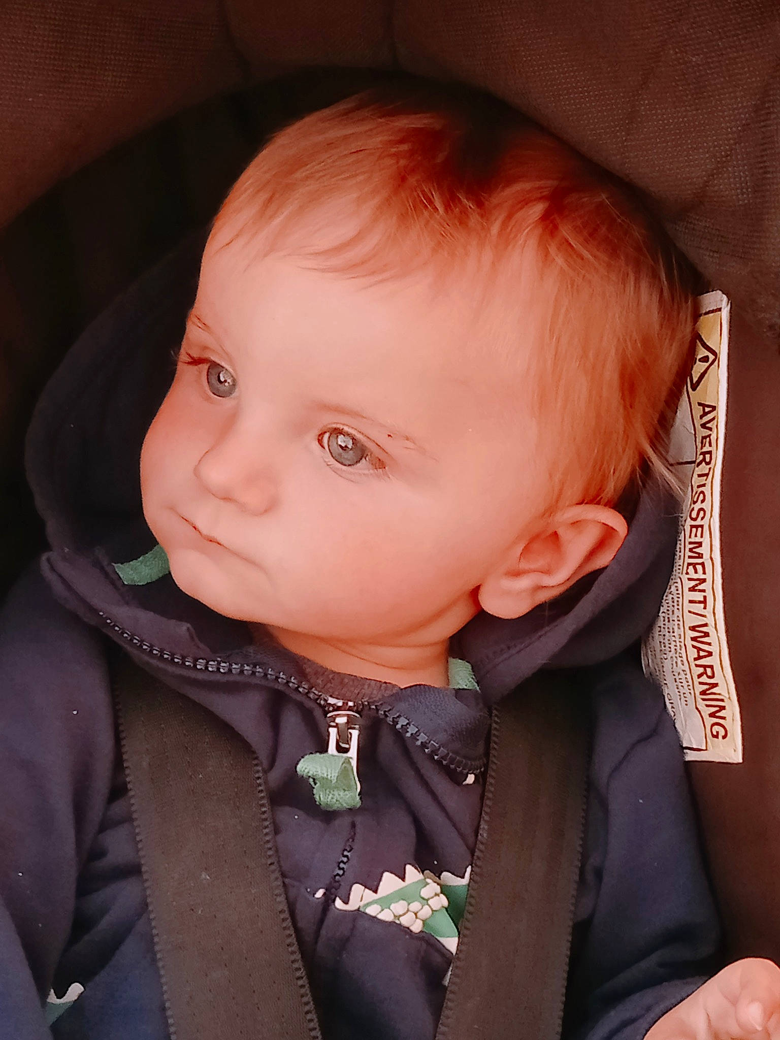 Scott a rejoint le concours — aidez-le/la à gagner de superbes lots ! baby, baby_toddler_clothing, cheek, chin, ear, eye, eyebrow, eyelash, forehead, hairstyle, head, human_body, iris, lip, mouth, neck, nose, outerwear, person, skin