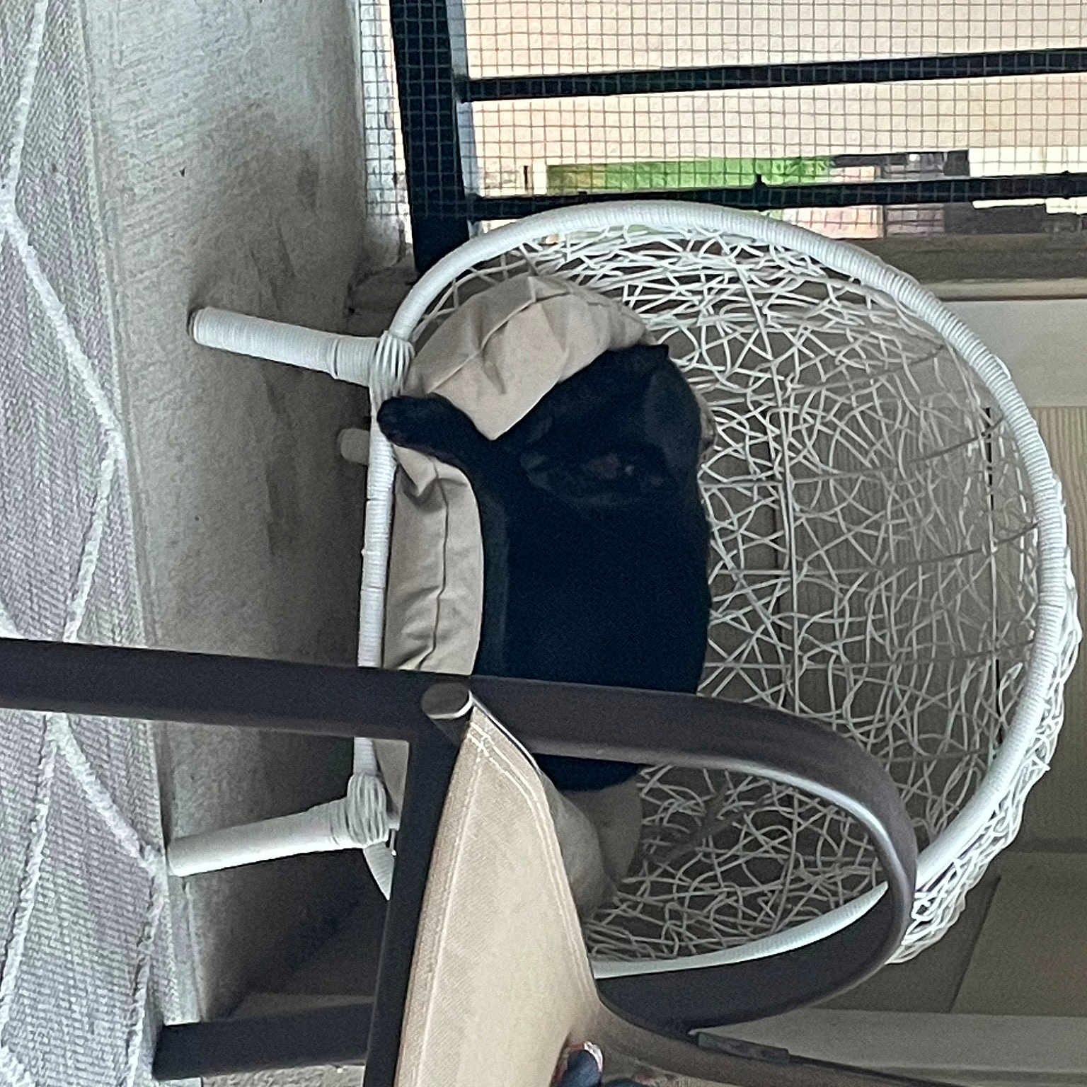 Grimm is registered to the contest to win money with this photo: art, automotive_design, automotive_tire, automotive_wheel_system, ball, ceiling, circle, font, glass, grille, mesh, metal, monochrome, monochrome_photography, pattern, rim, room, shelf, space, wood