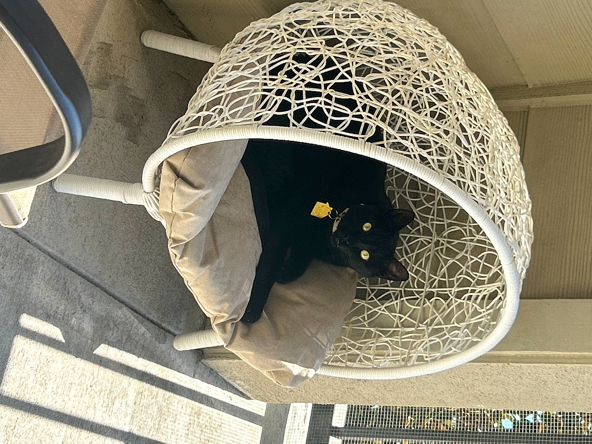 Grimm joined the competition — help win amazing prizes! art, artifact, ceiling, ceiling_fixture, circle, composite_material, fashion_accessory, font, home_accessories, interior_design, lampshade, light_fixture, lighting_accessory, metal, pattern, sculpture, sphere, symmetry, tints_and_shades, visual_arts