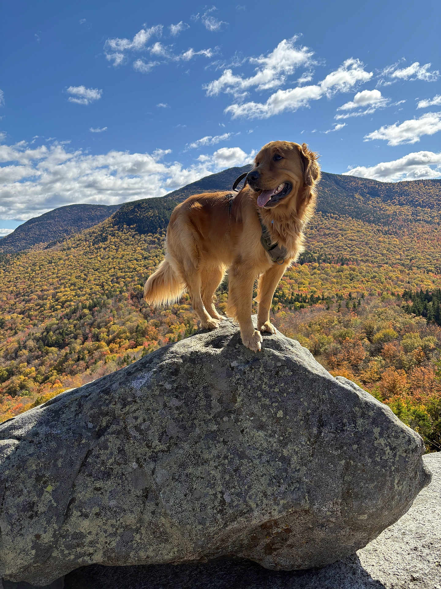 Max