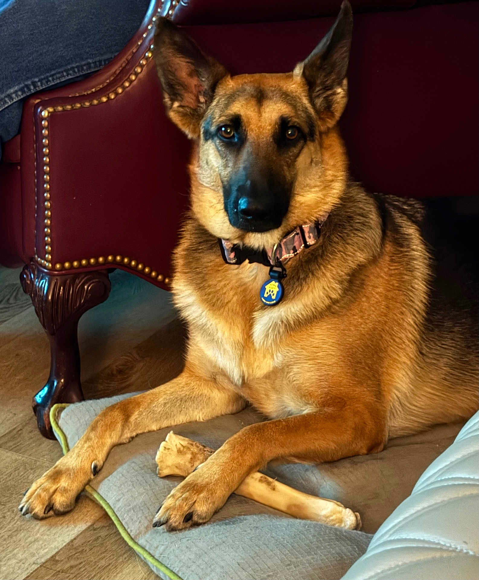Coda