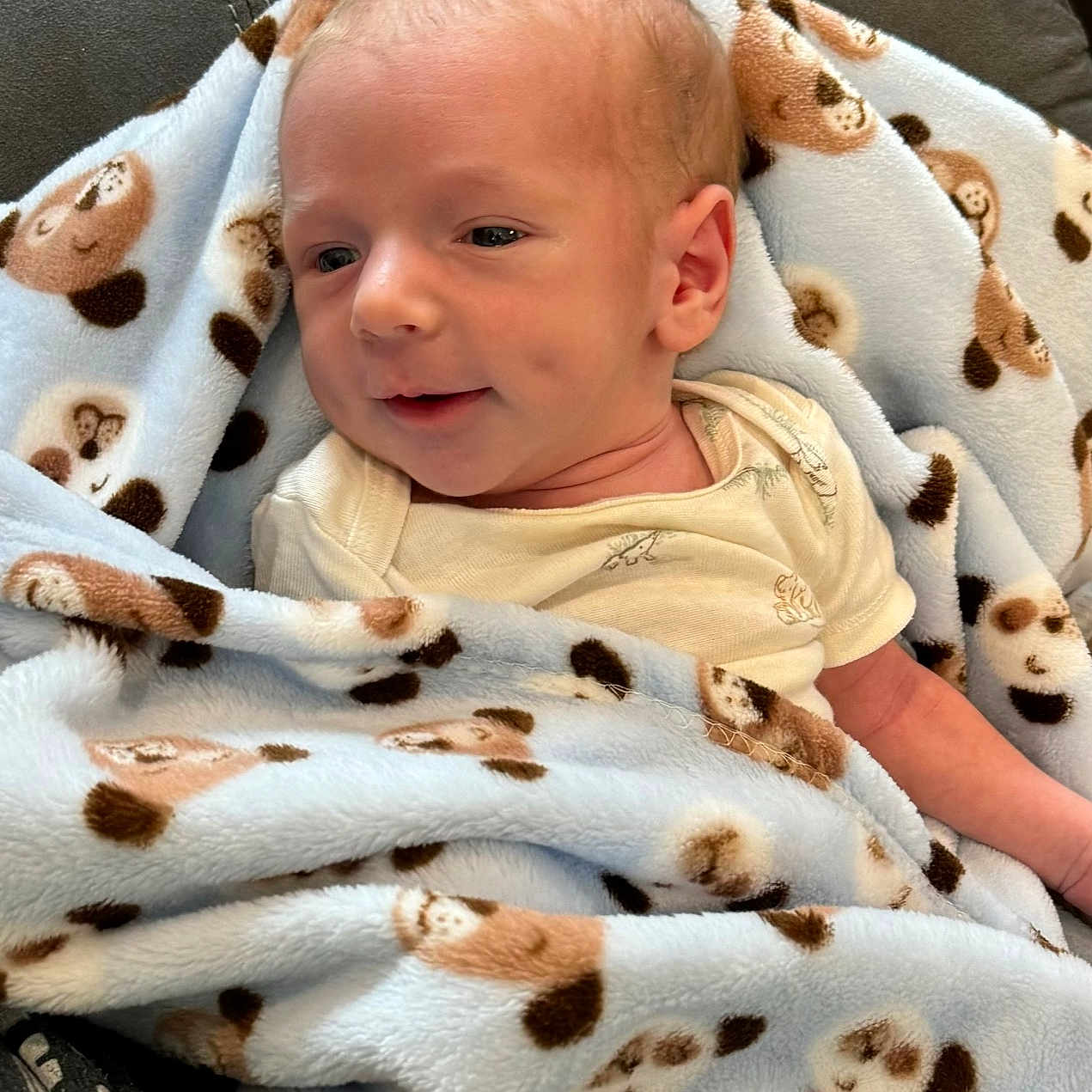 Knox is registered to the contest to win money with this photo: animal, baby, blanket, canine, cat, cushion, dog, face, furniture, happy, head, homedecor, newborn, person, pet, photography, portrait, quilt, sleeping, smile