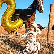 Oaklyn is registered to the contest to win money with this photo: toddler, child, balloon, number_two, cowboy_hat, horse, fence, field, grass, sunny, outdoor, animal, curious, stool, clothing, pants, shirt, rural, daytime, portrait