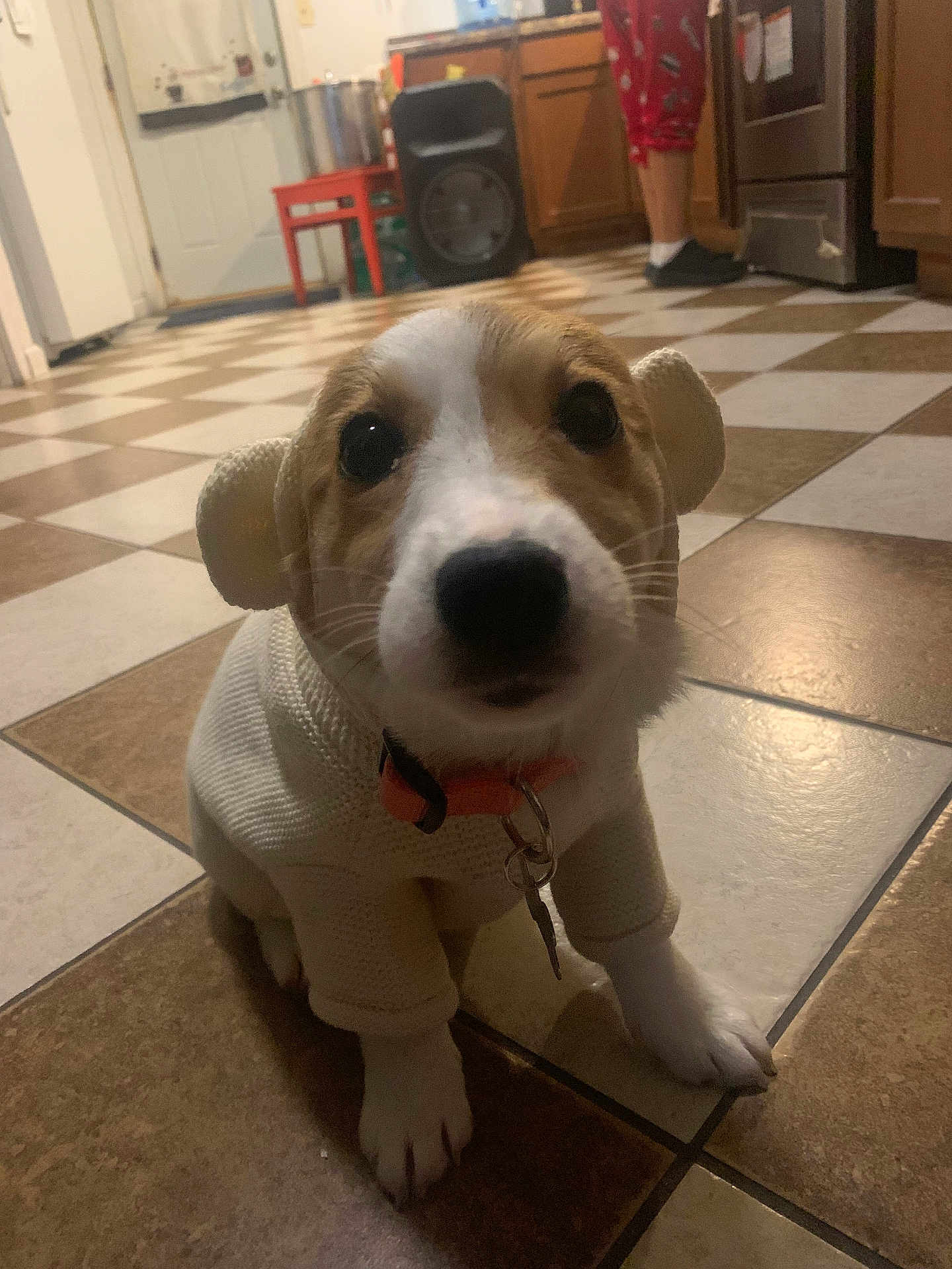 Ruby