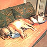 Lesire participe au concours pour gagner de l'argent avec cette photo :