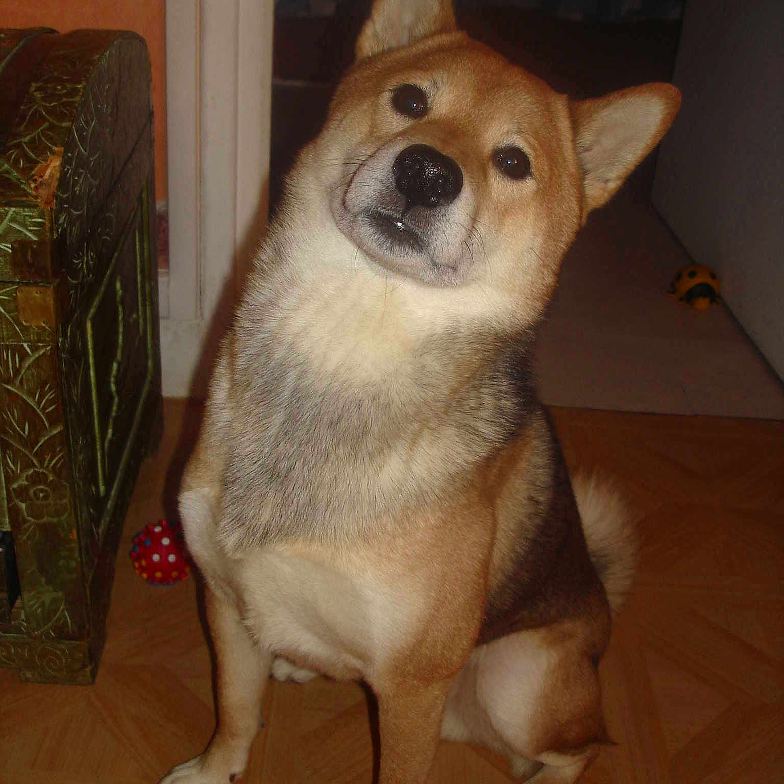 Chiky
