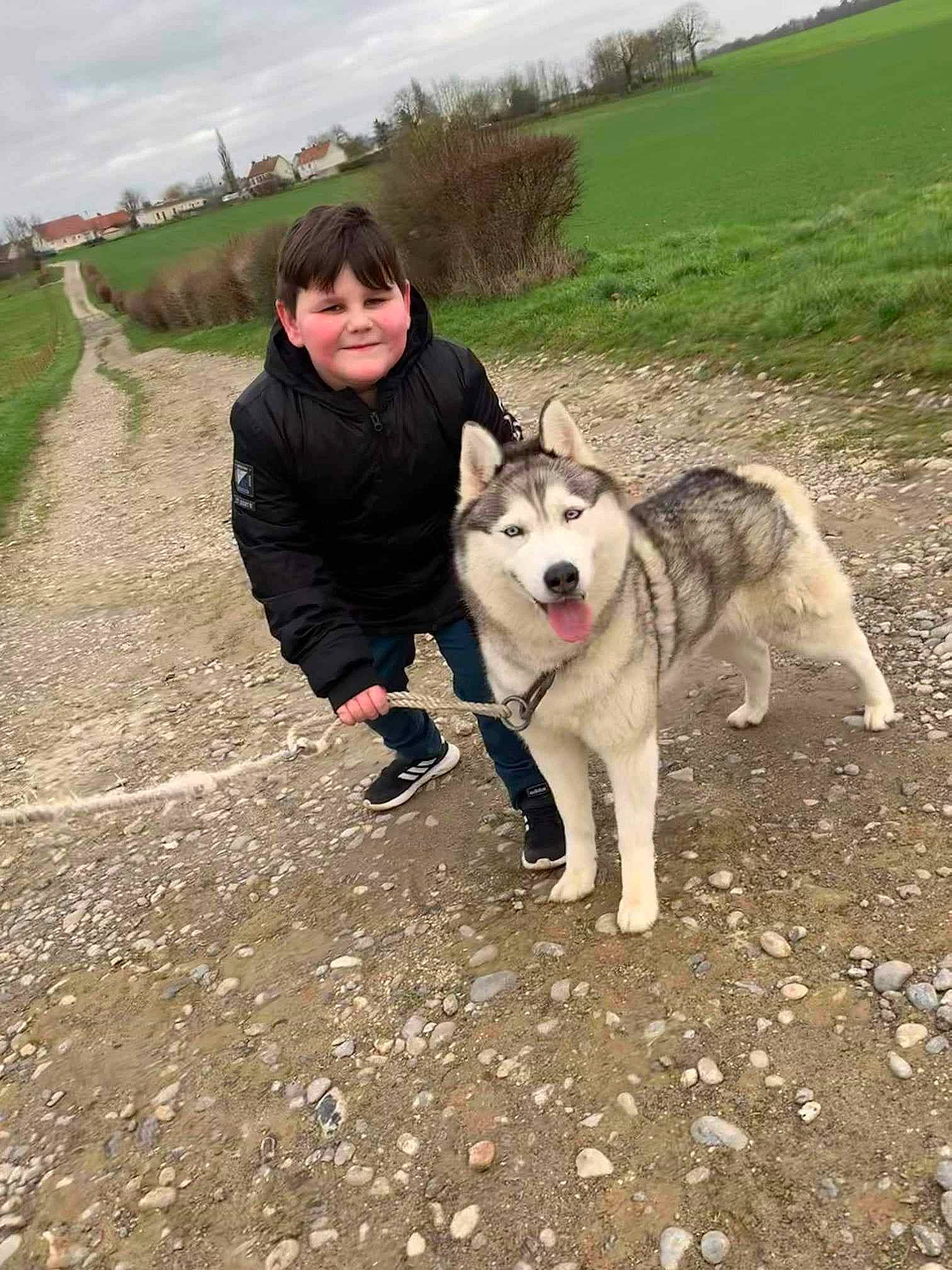 Irka a rejoint le concours — aidez-le/la à gagner de superbes lots ! canadian_eskimo_dog, canis, carnivore, cloud, companion_dog, dog, dog_breed, dog_hiking, livestock_guardian_dog, plant, recreation, siberian_husky, sky, sled_dog, smile, soil, sporting_group, tree, working_animal, working_dog