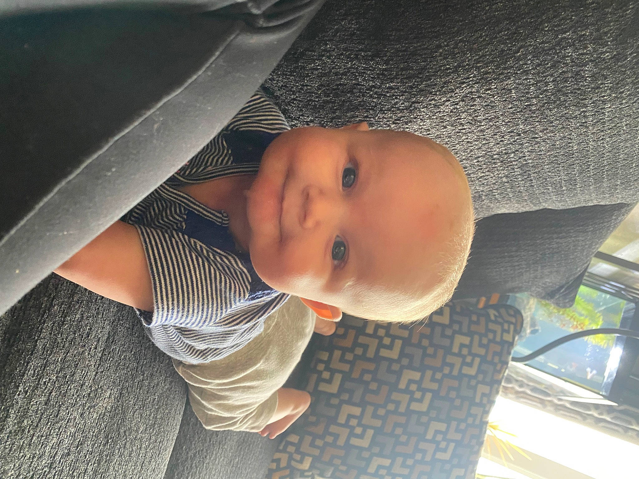 Brinley joined the competition — help win amazing prizes! baby, baby_toddler_clothing, cheek, comfort, eyebrow, finger, flash_photography, hand, human_body, joy, lip, mouth, nose, organ, person, skin, smile, tints_and_shades, toddler, tree