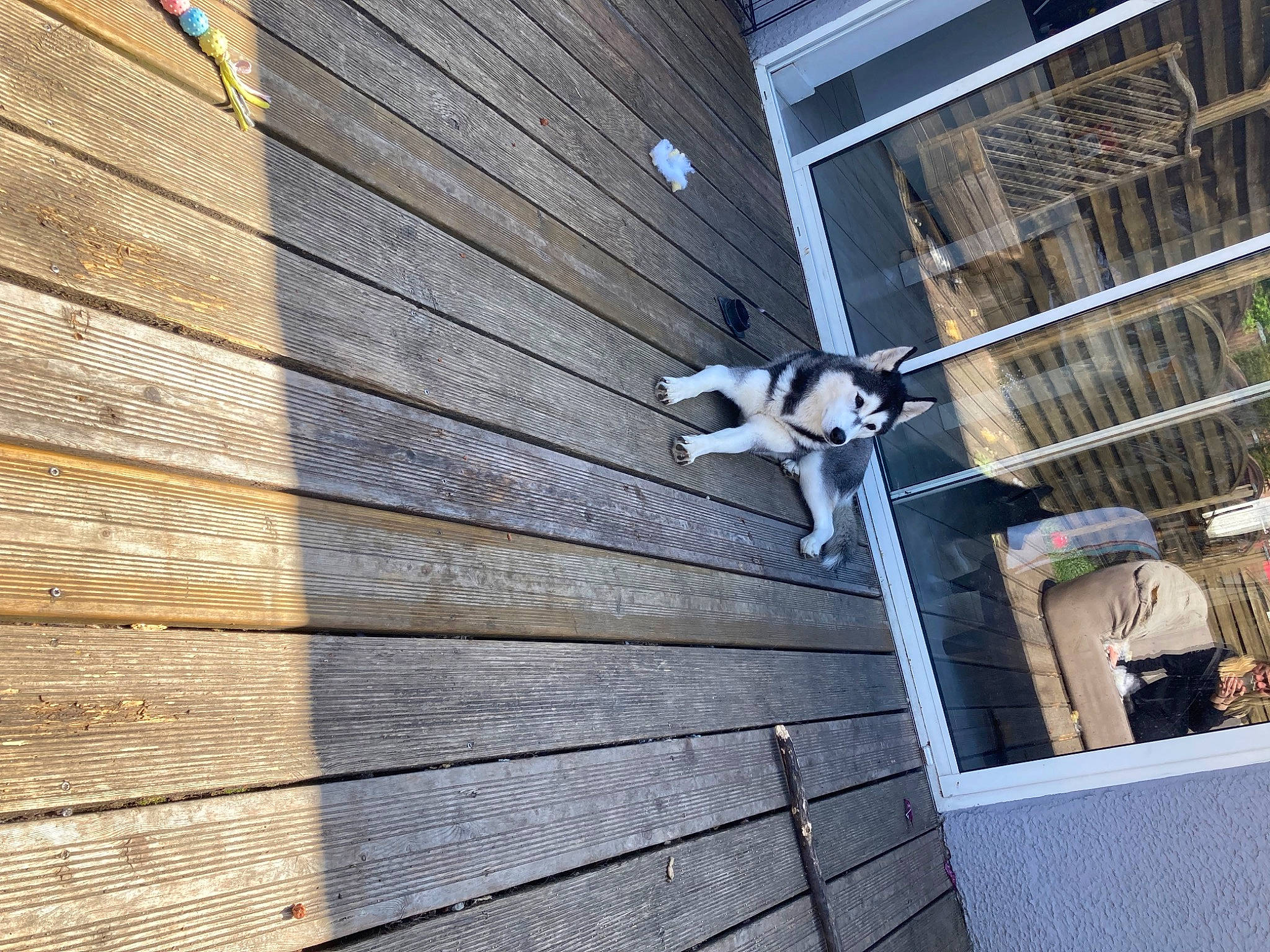 Skya participe au concours pour gagner de l'argent avec cette photo : architecture, beam, brick, brickwork, building, condominium, facade, hardwood, house, line, material_property, metal, roof, shade, siding, tints_and_shades, tree, wall, window, wood