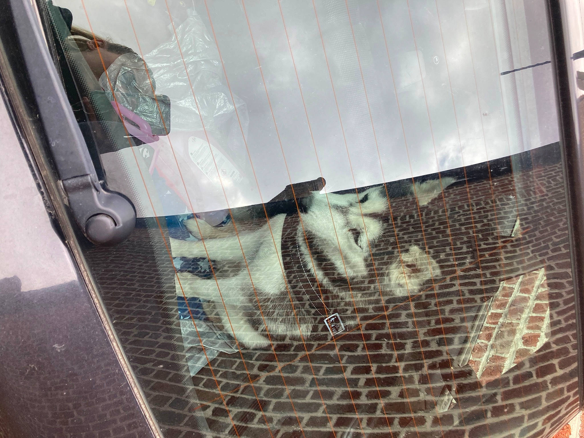 Skya participe au concours pour gagner de l'argent avec cette photo : art, automotive_design, automotive_exterior, automotive_lighting, automotive_tire, automotive_wheel_system, facade, felidae, flooring, gas, glass, hood, mesh, metal, tints_and_shades, transparent_material, vehicle_door, window, windscreen_wiper, windshield