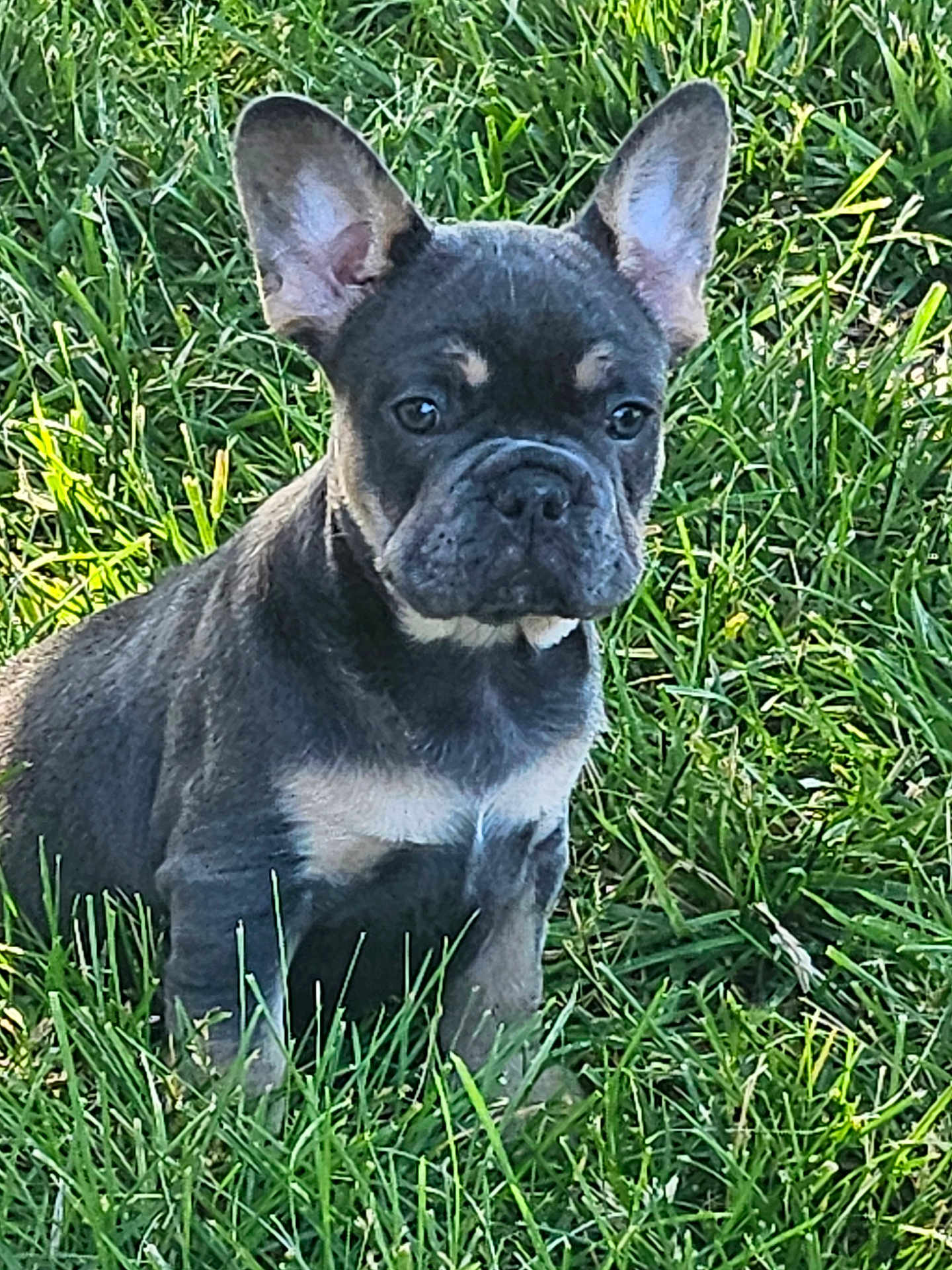 Rocky