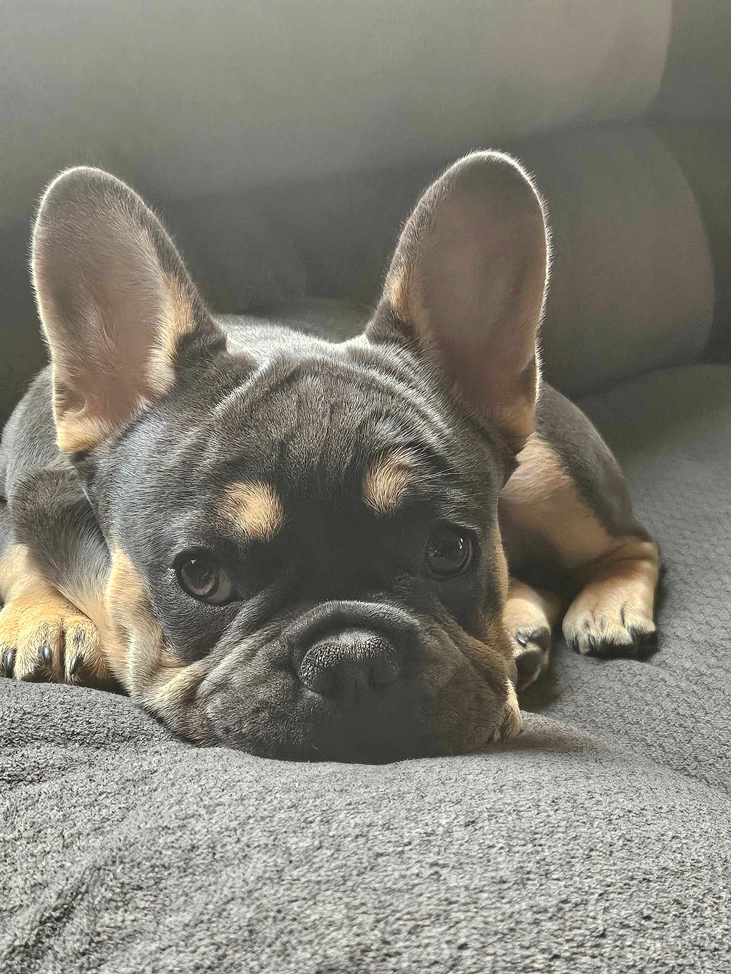 Rocky