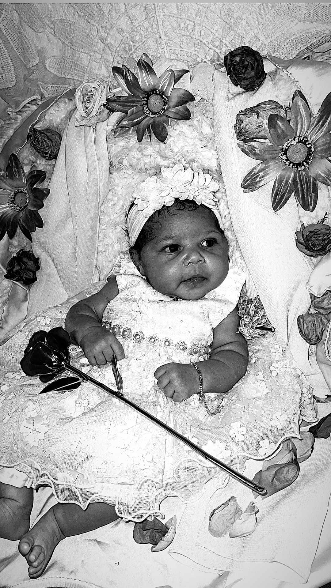 Jasanii Rose joined the competition — help win amazing prizes! baby, infant, flower, dress, headband, lace, portrait, black_and_white, flower_petals, artificial_flowers, hand, feet, bracelet, cute, lying_down, fabric, soft_texture, close_up, adorable, child