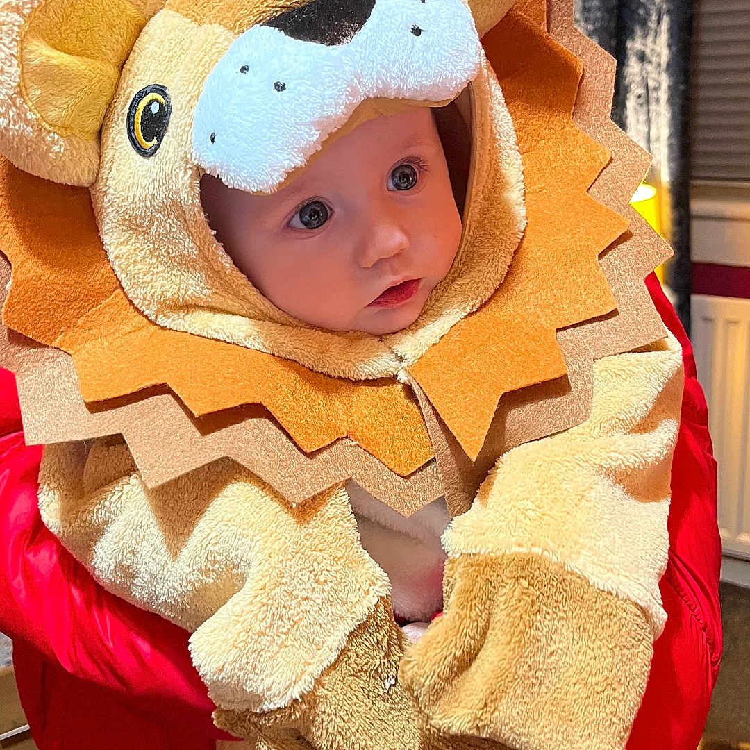 Rivver joined the competition — help win amazing prizes! animal_costume, baby, carpet, child, childrens_clothing, closeup, costume, cute, face, home_interior, indoors, lion_costume, person, plush, portrait, radiator, red_jacket, soft_toys, warm_clothing, window_blinds