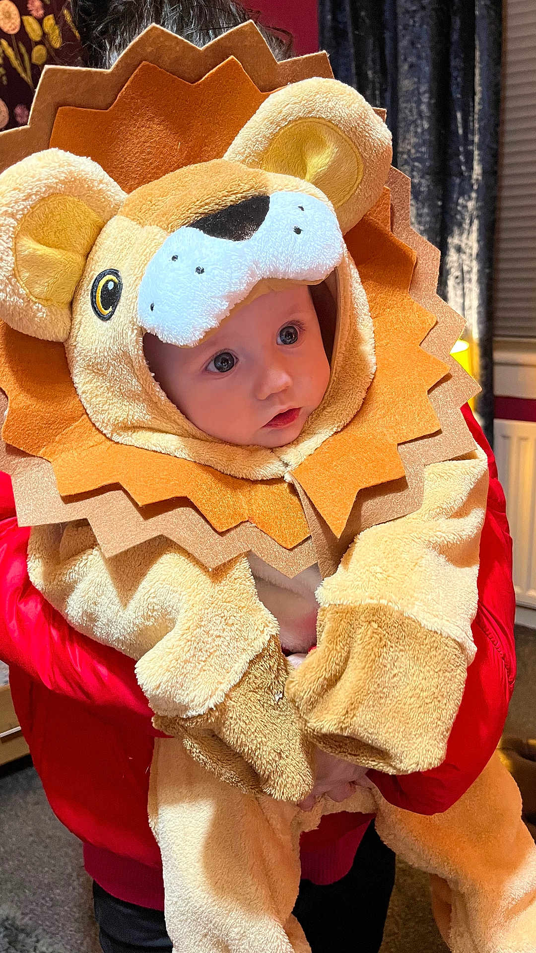 Rivver joined the competition — help win amazing prizes! baby, child, lion_costume, plush, costume, indoors, person, red_jacket, face, cute, animal_costume, childrens_clothing, portrait, warm_clothing, home_interior, carpet, window_blinds, radiator, soft_toys, closeup