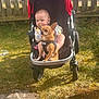 baby, child, dog, stroller, outdoor, grass, fence, pet, harness, sunlight, infant, wheel, play, animal, young_child, summer, nature, cute, leisure, portrait