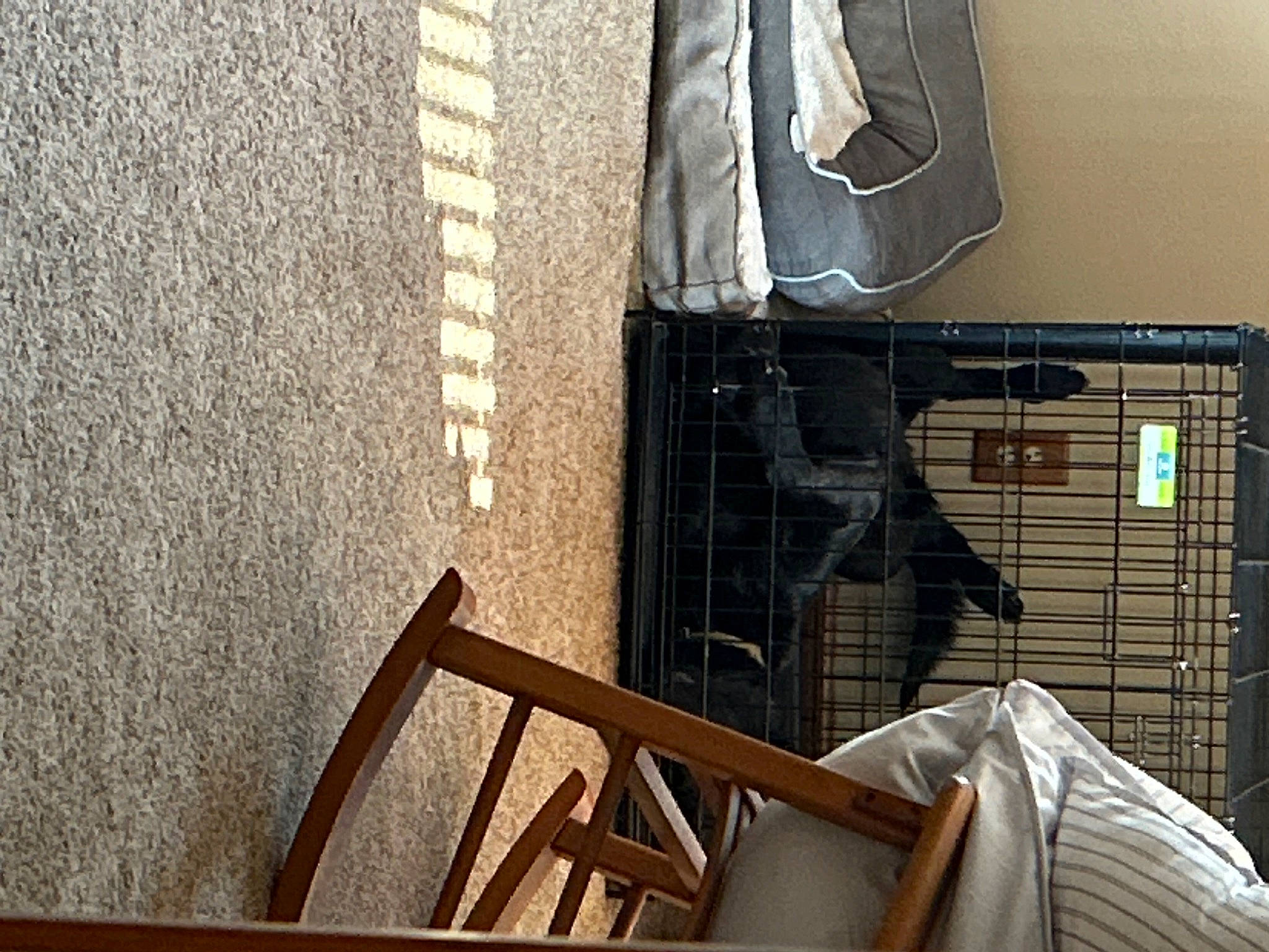 Magnus is registered to the contest to win money with this photo: automotive_design, bag, chair, denim, door, floor, flooring, fur, hardwood, house, linens, metal, pattern, room, shadow, tablecloth, textile, tints_and_shades, visual_arts, wood