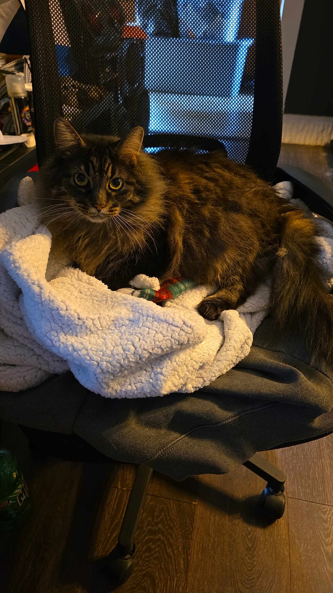 Stitchy