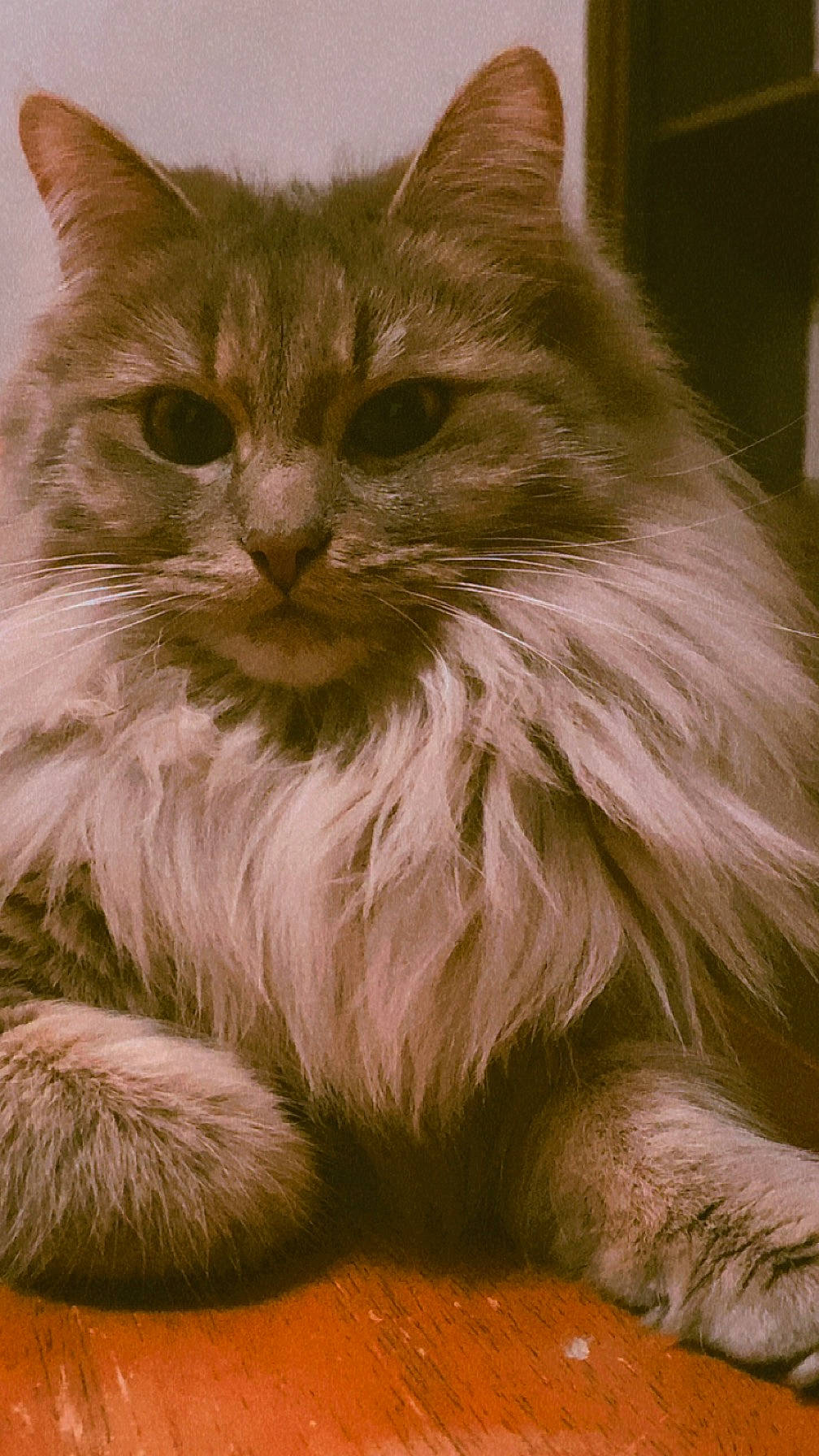 Ruby
