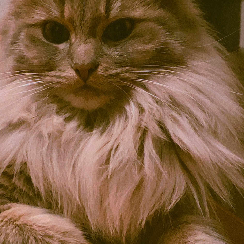 Ruby