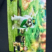 Harley is registered to the contest to win money with this photo: dog, pet, white_dog, small_dog, green_hat, bow_tie, st_patricks, leprechaun, pot_of_gold, gold_coins, grass, backdrop, figurine, toy, celebration, costume, portrait, sparkle, cute, festive_scene