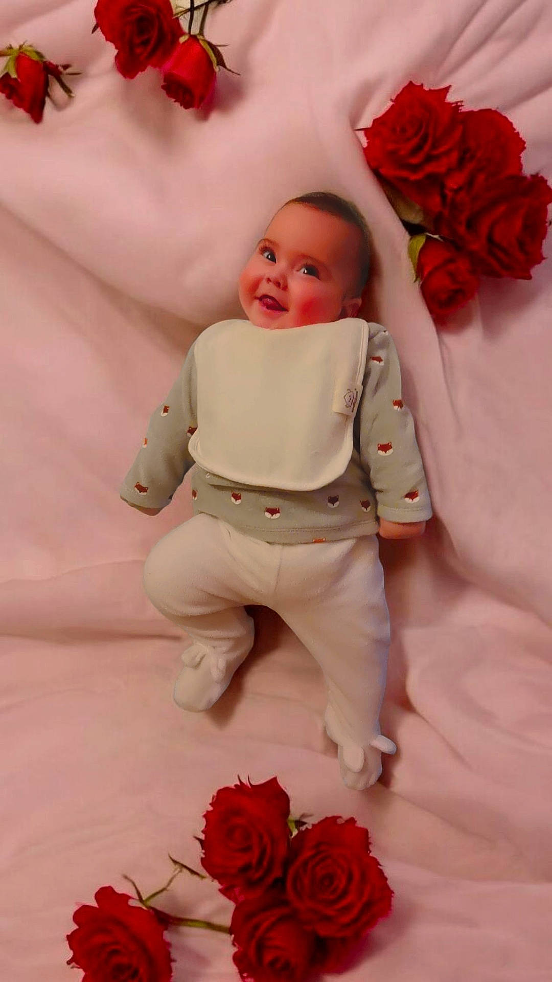 Lohan a rejoint le concours — aidez-le/la à gagner de superbes lots ! baby, carnation, clothing, cushion, dress, face, flower, flowerarrangement, flowerbouquet, geranium, head, homedecor, newborn, pants, person, petal, photography, plant, portrait, rose