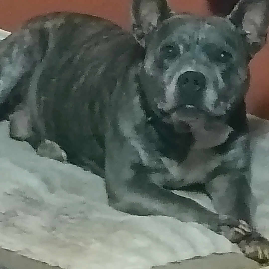 Tank