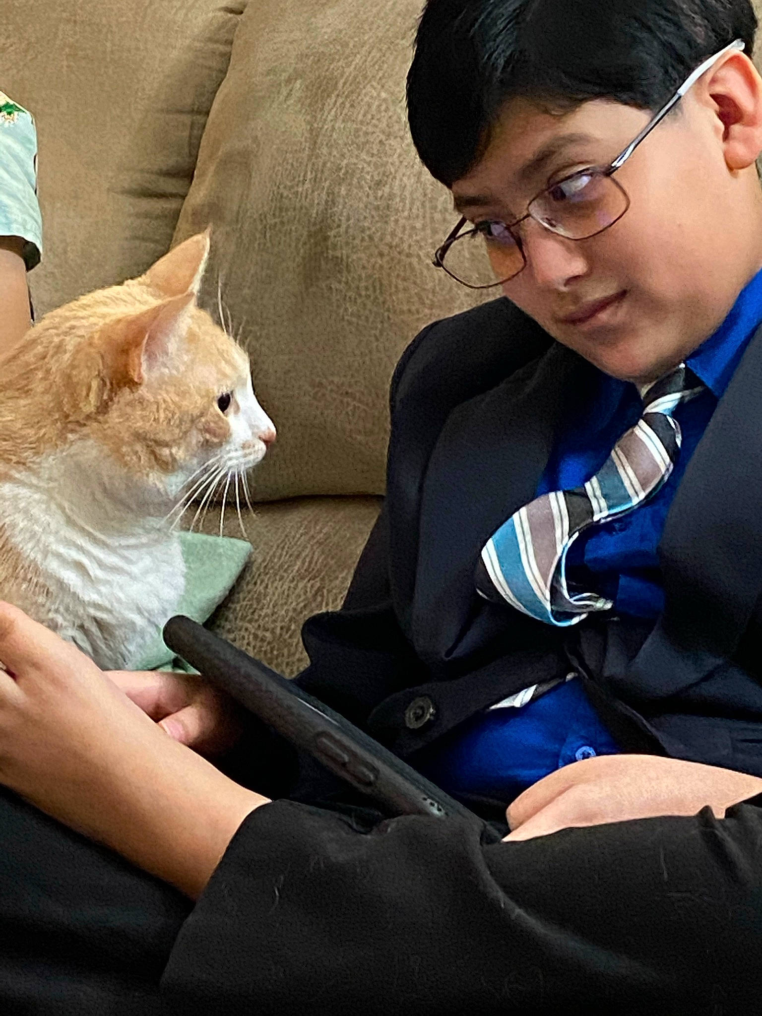 Peanut is registered to the contest to win money with this photo: carnivore, cat, comfort, conversation, domestic_short_haired_cat, event, eyewear, felidae, formal_wear, fur, gesture, glasses, lap, sitting, small_to_medium_sized_cats, suit, tie, vision_care, whiskers, white_collar_worker