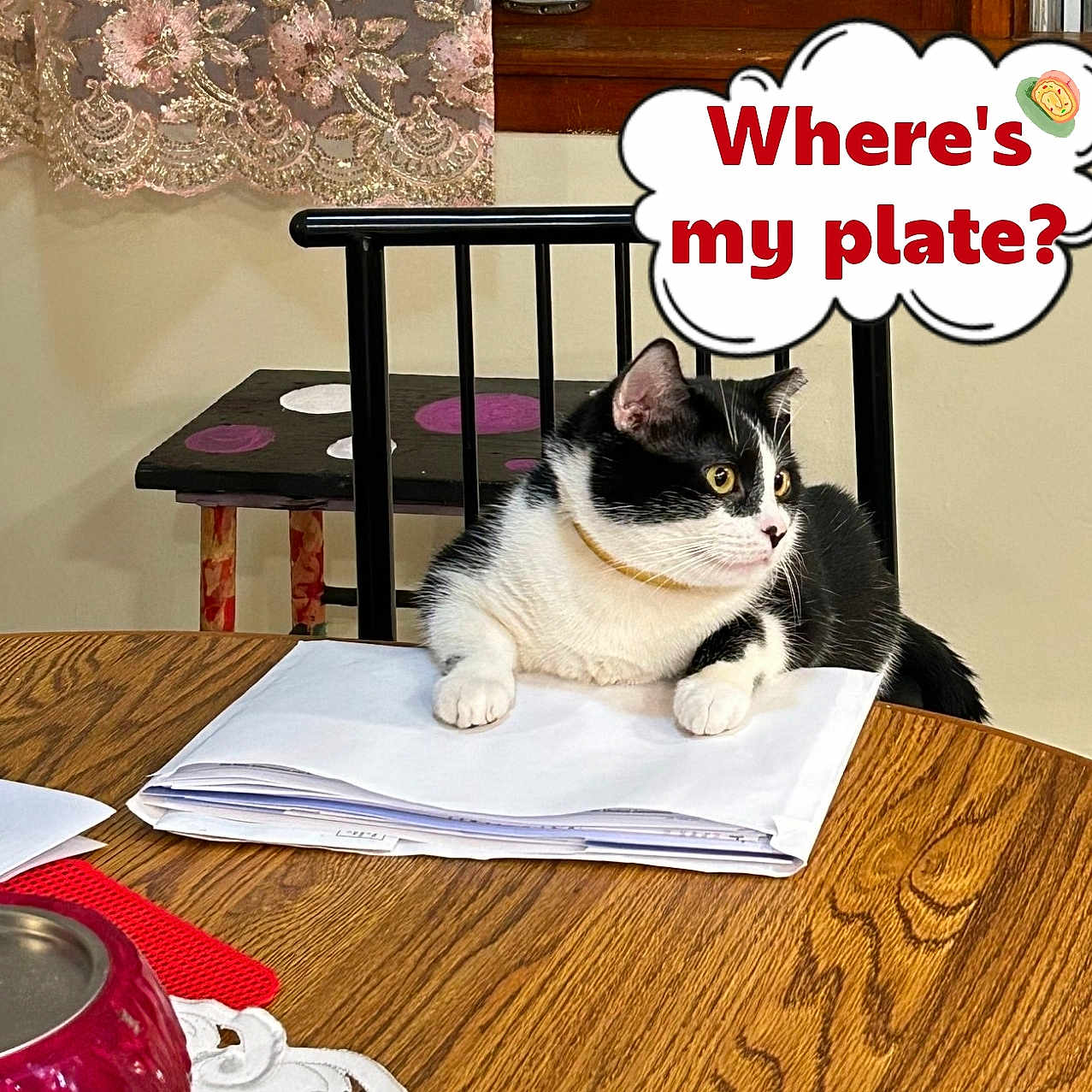 Oreo joined the competition — help win amazing prizes! cat, black_and_white, table, papers, chair, curtain, indoor, pet, feline, wooden_table, stack_of_papers, domestic, waiting, speech_bubble, text_overlay, curious, resting, household, collar, window