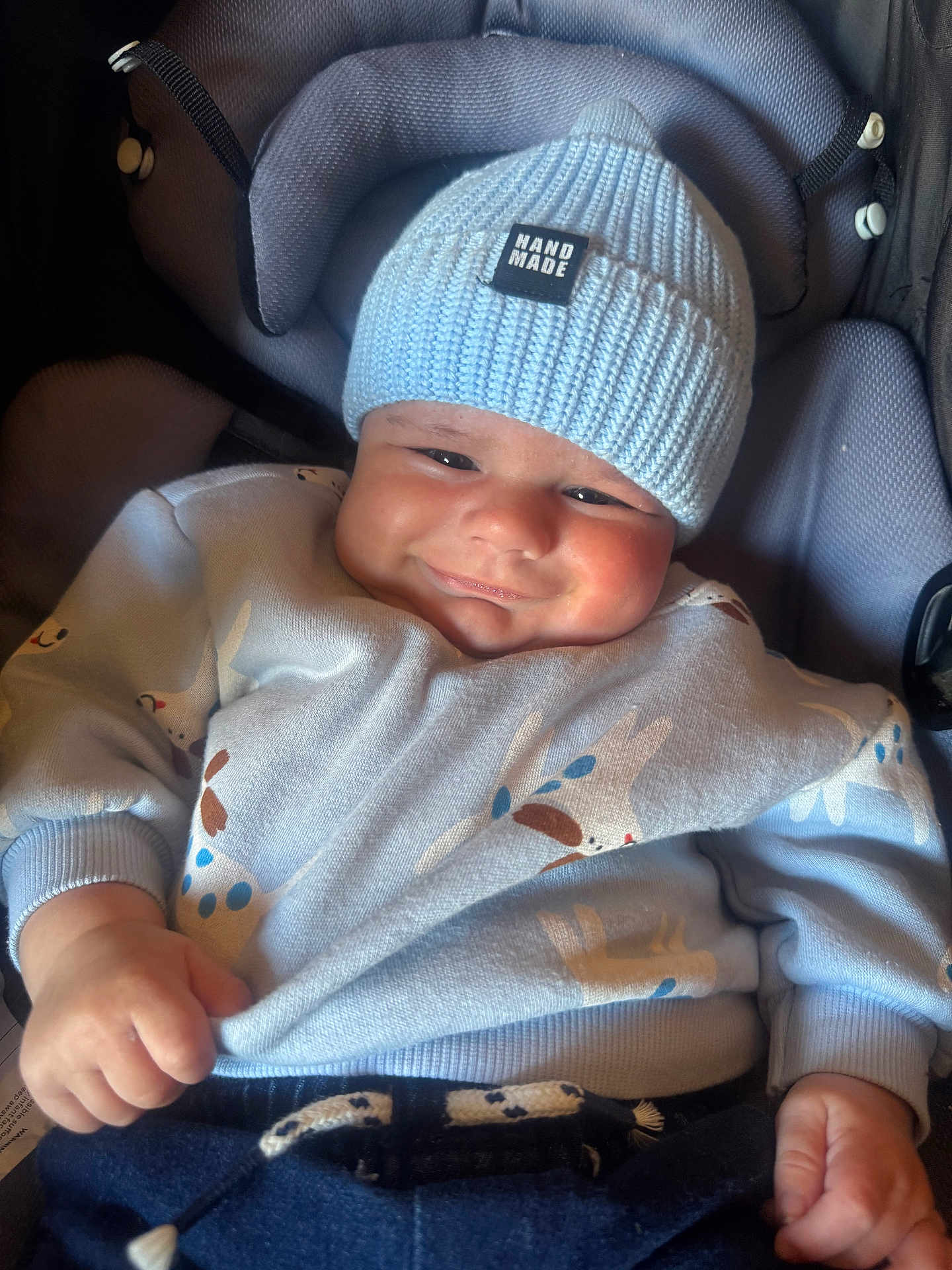 Lincoln is registered to the contest to win money with this photo: baby, child, smile, hat, knit_hat, blue_clothing, sweater, animal_print, car_seat, infant, cute, chubby_cheeks, hand_made_label, clothing, person, portrait, indoors, happy, young_child, casual