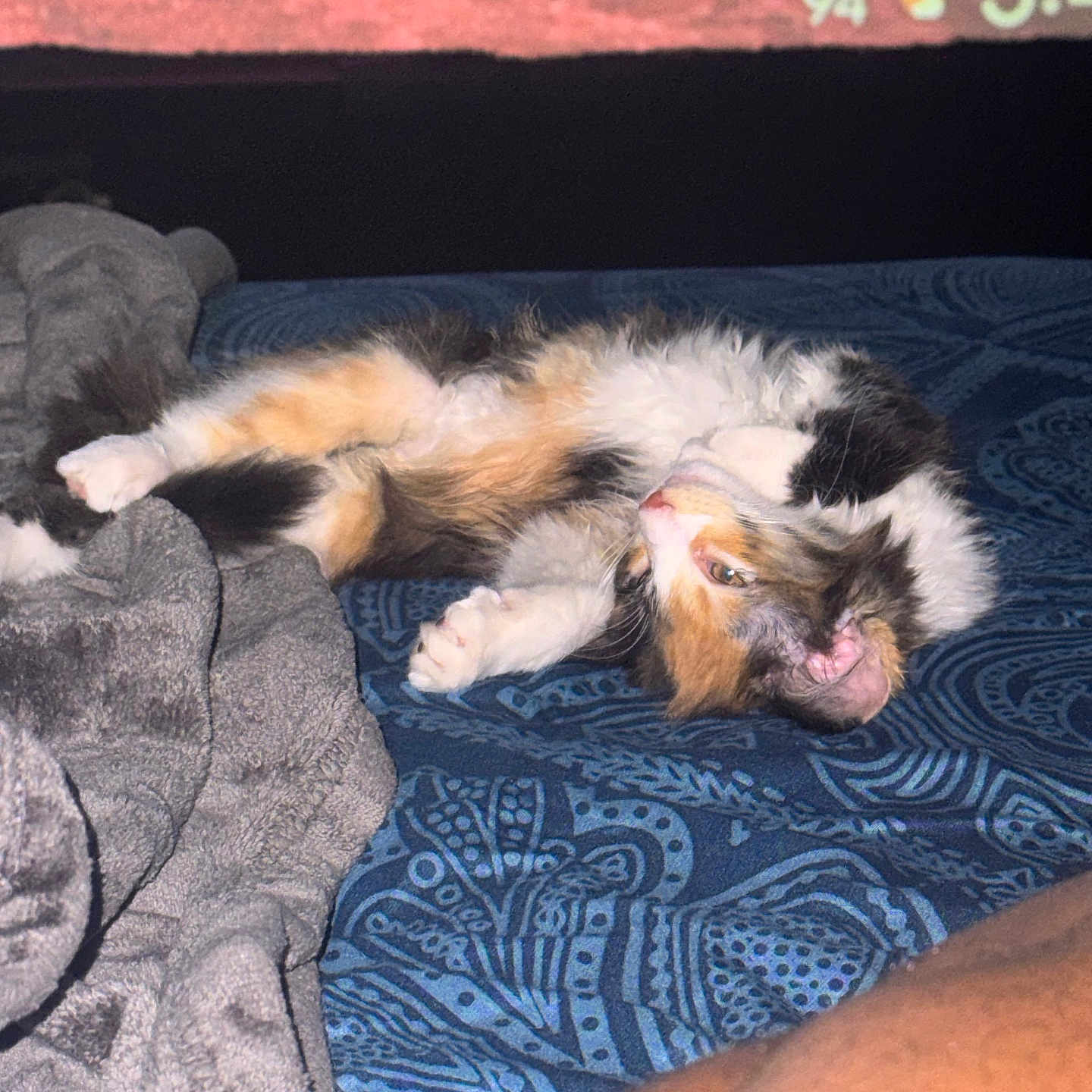 Izzy