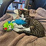 kitten, cat, toy, blanket, chair, indoor, bookshelf, books, furniture, playful, fuzzy_toy, brown_blanket, tabby_cat, white_paws, pet, cozy, home, floor_tiles, relaxing, young_cat