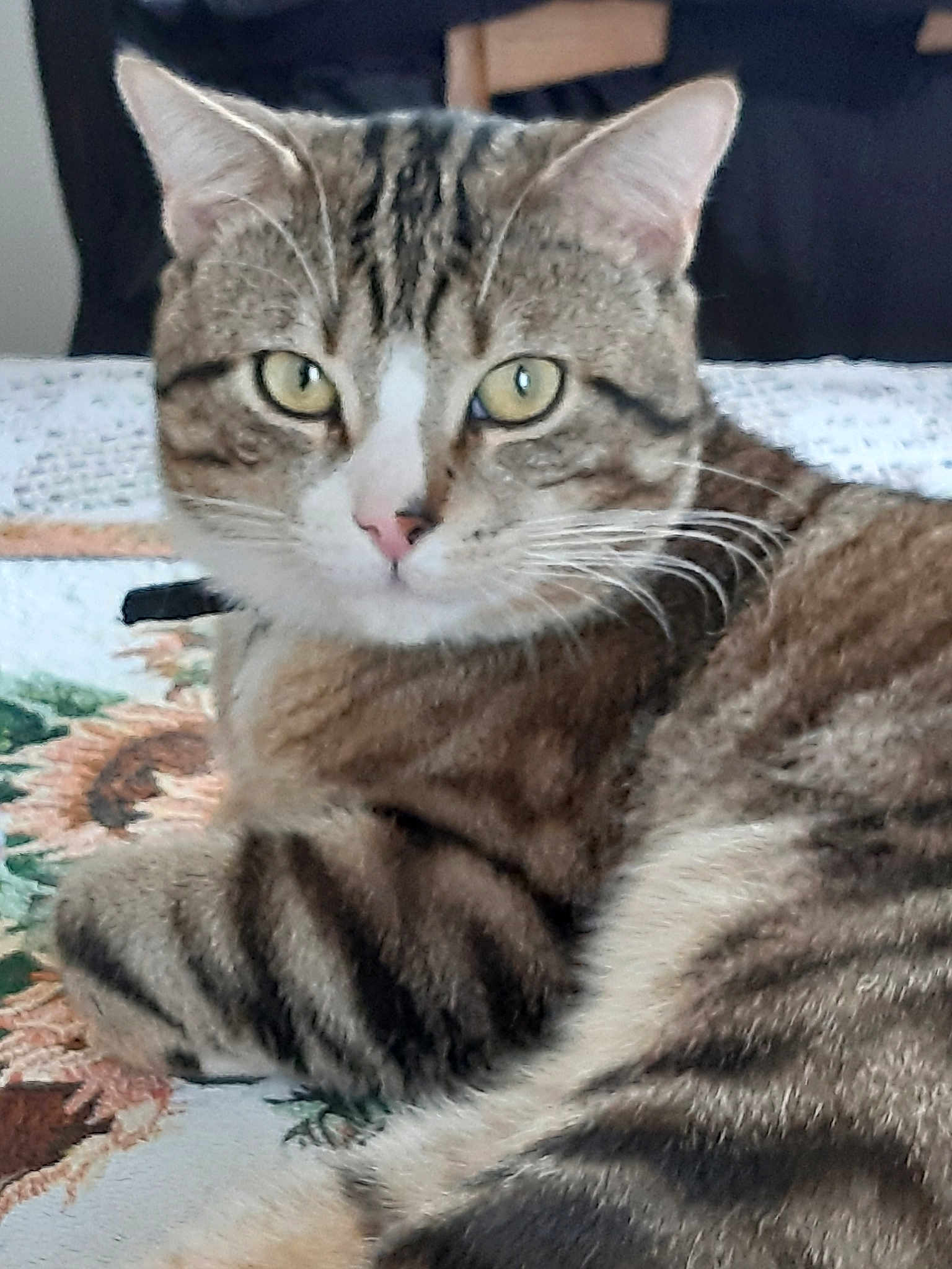 Oliver