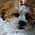 Missie