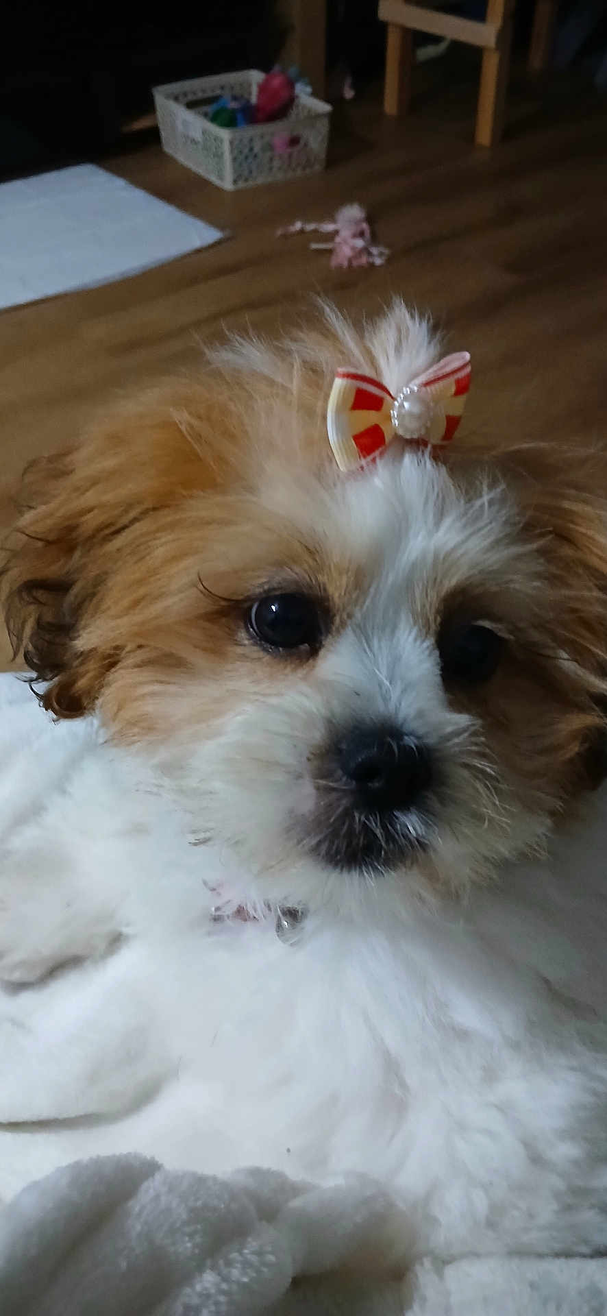 Missie