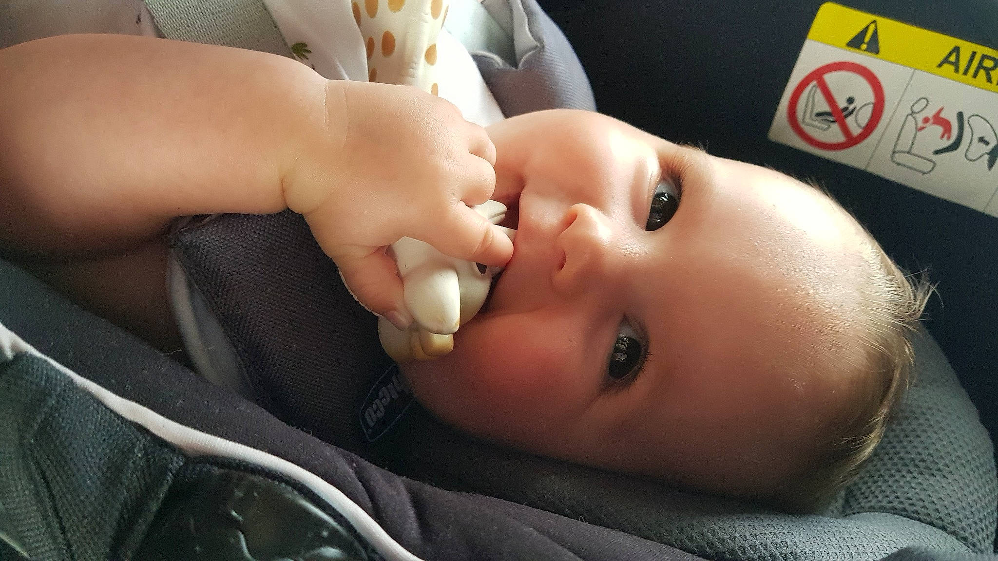 Aeryn a rejoint le concours — aidez-le/la à gagner de superbes lots ! baby, baby_toddler_clothing, cheek, child, chin, ear, eyebrow, eyelash, finger, gesture, happy, iris, lip, mouth, nail, nose, person, product, skin, thumb