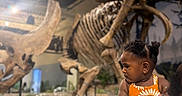 Melia Bloom is registered to the contest to win money with this photo: toddler, child, baby, person, face, portrait, museum, dinosaur, skeleton, fossil, exhibit, indoors, orange_dress, floral_pattern, adult, parent, arms, zoo, educational, photography