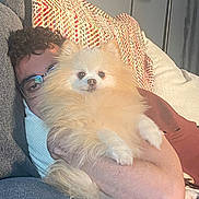 Baby joined the competition — help win amazing prizes! arm, blanket, casual, comfort, couch, curly_hair, dog, fluffy, furniture, glasses, home, indoor, lamp, living_room, person, pet, pomeranian, relaxing, resting, smiling