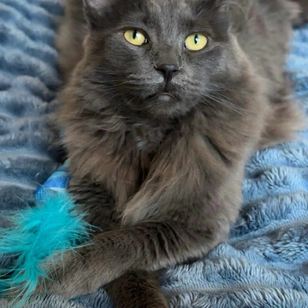 Milo