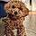 Seven