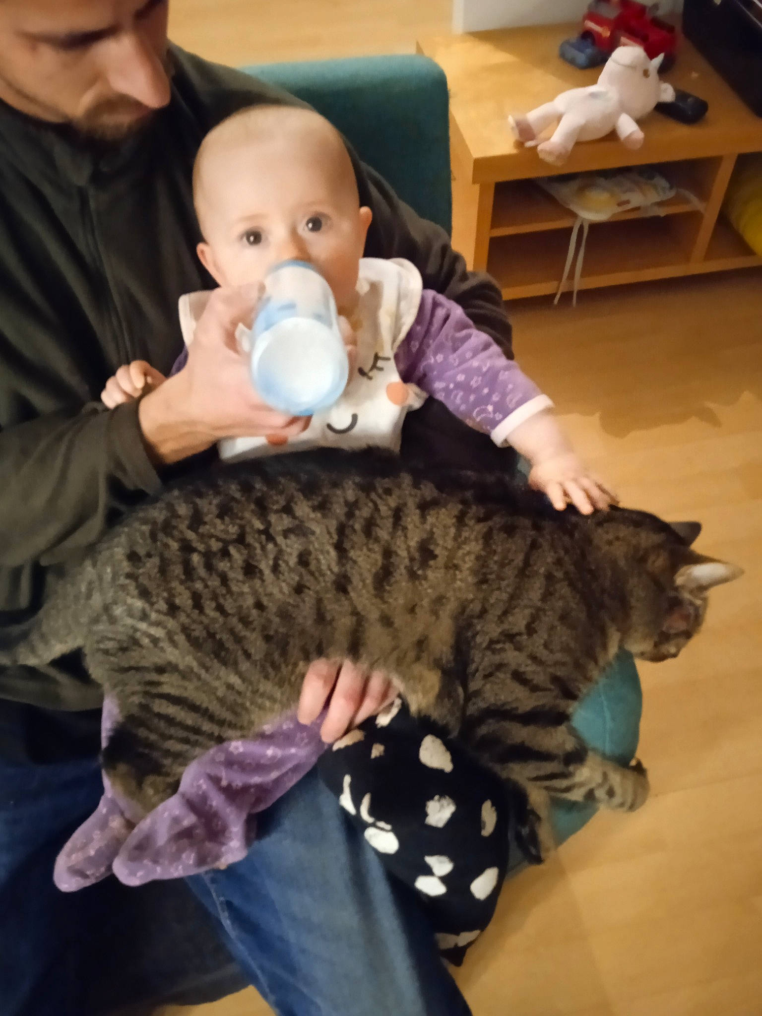 Naélly participe au concours pour gagner de l'argent avec cette photo : baby, baby_toddler_clothing, cat, child, comfort, domestic_short_haired_cat, felidae, flooring, fun, fur, mammal, pattern, person, room, sitting, small_to_medium_sized_cats, tail, terrestrial_animal, toddler, vertebrate